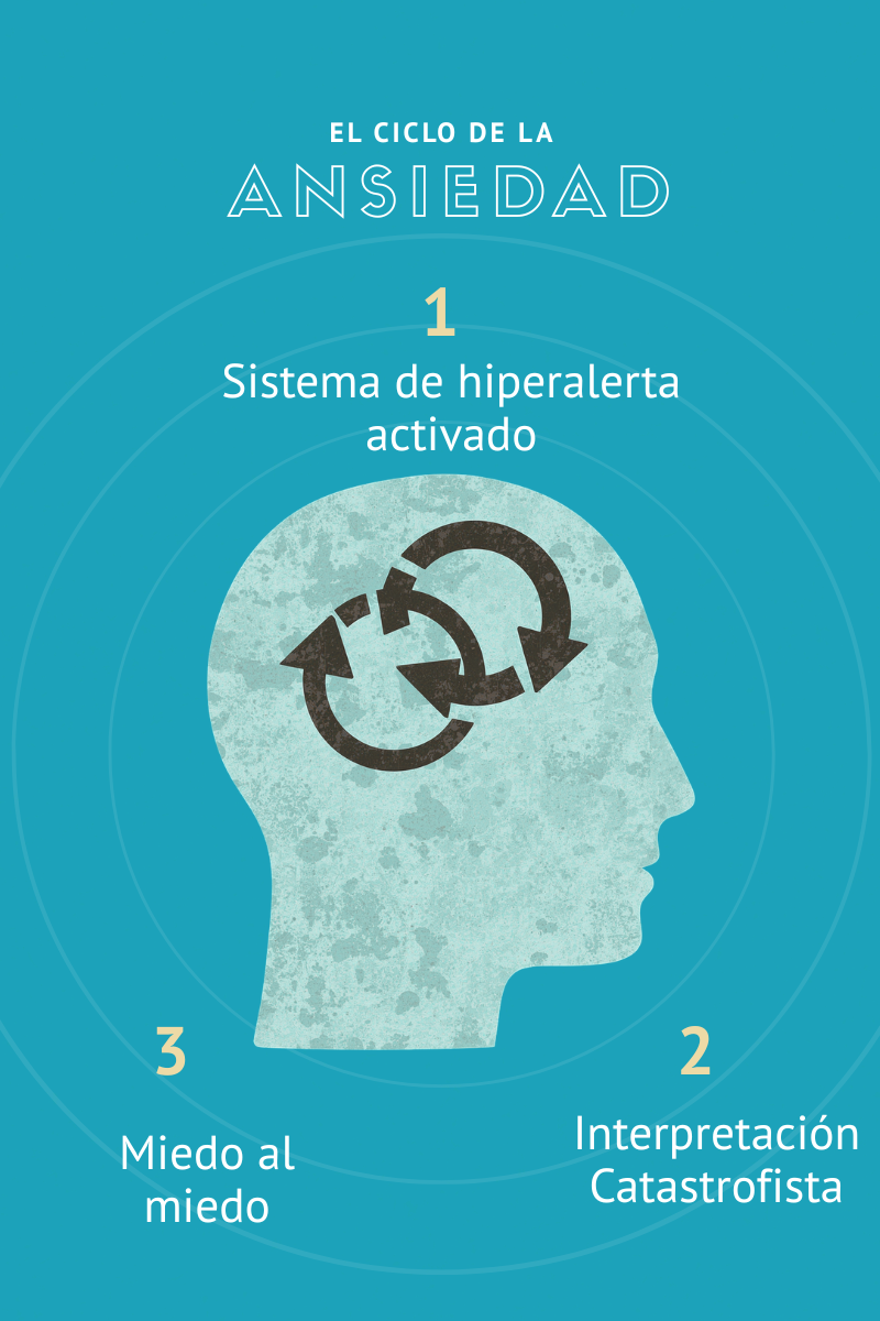 Cliclo ansiedad